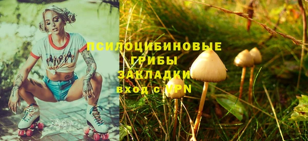 альфа пвп Елабуга