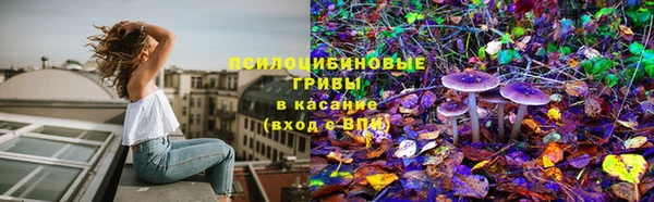 марки nbome Ельня