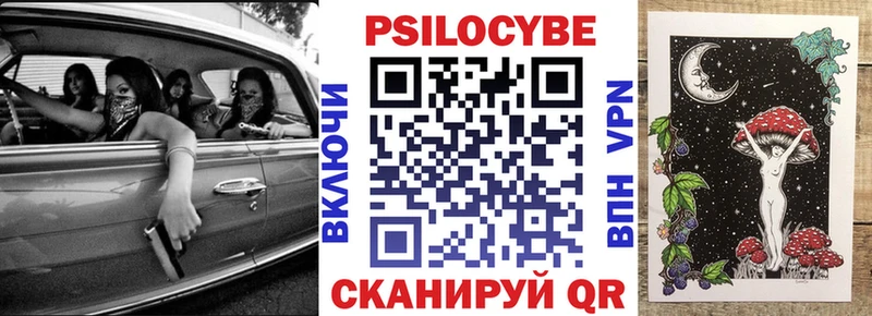 Купить где  Заинск  Псилоцибиновые грибы Psilocybine cubensis 